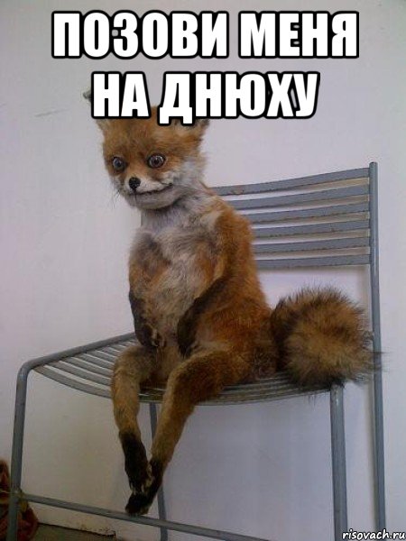 позови меня на днюху , Мем Упоротая лиса