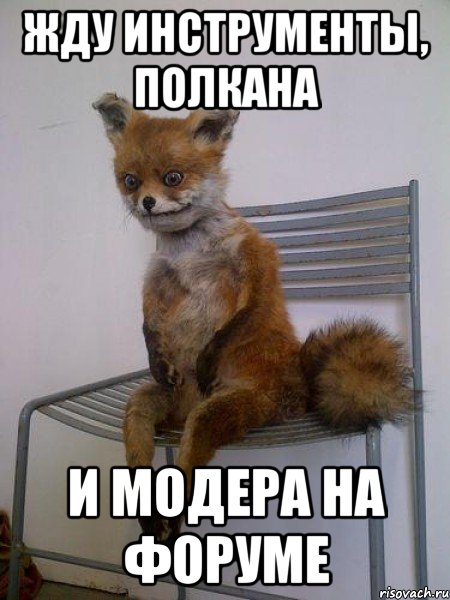 жду инструменты, полкана и модера на форуме, Мем Упоротая лиса