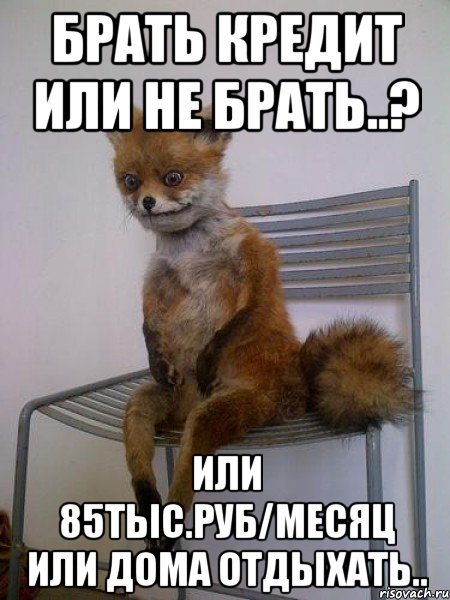 брать кредит или не брать..? или 85тыс.руб/месяц или дома отдыхать.., Мем Упоротая лиса