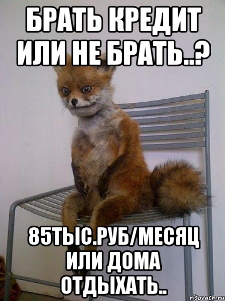 брать кредит или не брать..? 85тыс.руб/месяц или дома отдыхать.., Мем Упоротая лиса