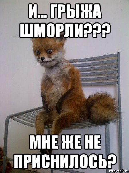и... грыжа шморли??? мне же не приснилось?