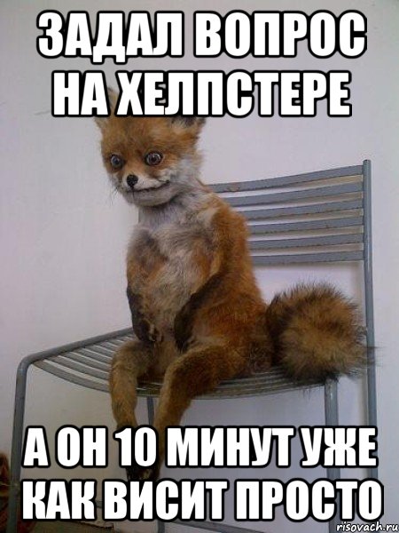 задал вопрос на хелпстере а он 10 минут уже как висит просто, Мем Упоротая лиса