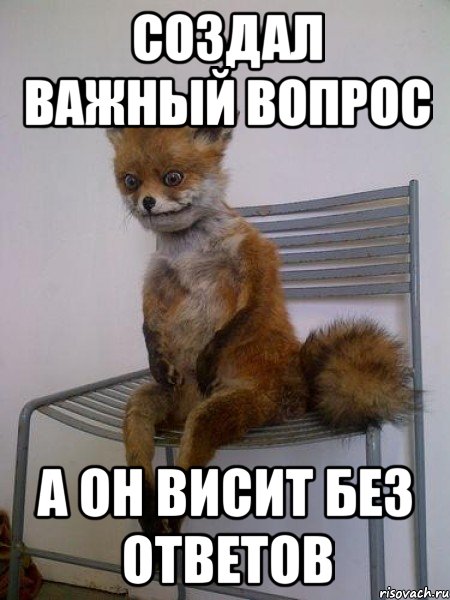 создал важный вопрос а он висит без ответов, Мем Упоротая лиса