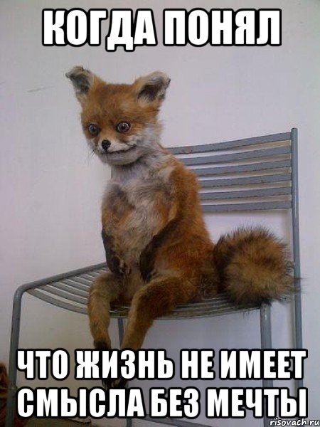 когда понял что жизнь не имеет смысла без мечты, Мем Упоротая лиса
