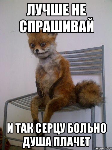 лучше не спрашивай и так серцу больно душа плачет, Мем Упоротая лиса