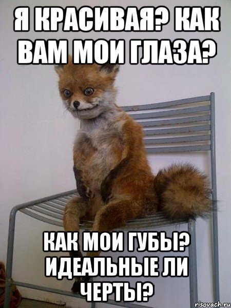 я красивая? как вам мои глаза? как мои губы? идеальные ли черты?, Мем Упоротая лиса