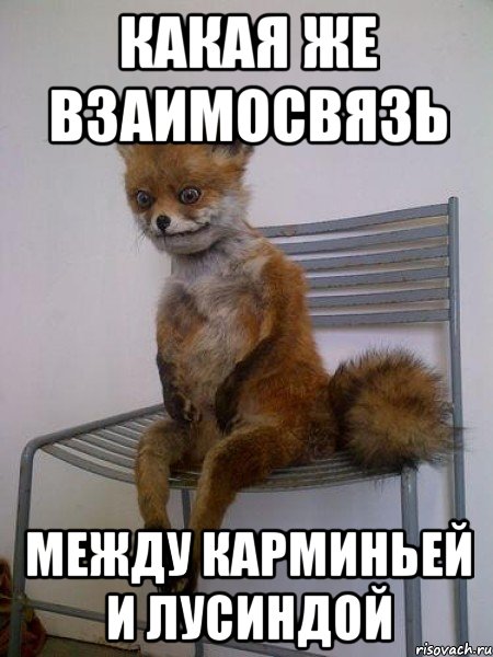 какая же взаимосвязь между карминьей и лусиндой, Мем Упоротая лиса
