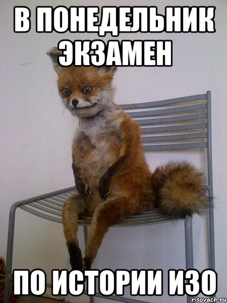 в понедельник экзамен по истории изо, Мем Упоротая лиса