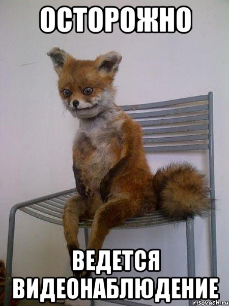 осторожно ведется видеонаблюдение
