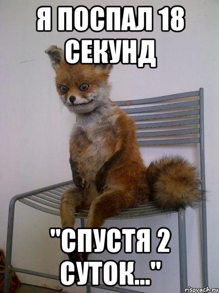 я поспал 18 секунд "спустя 2 суток...", Мем Упоротая лиса