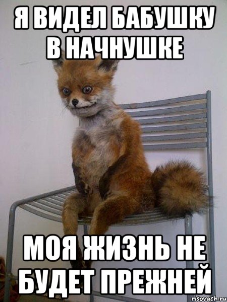 я видел бабушку в начнушке моя жизнь не будет прежней
