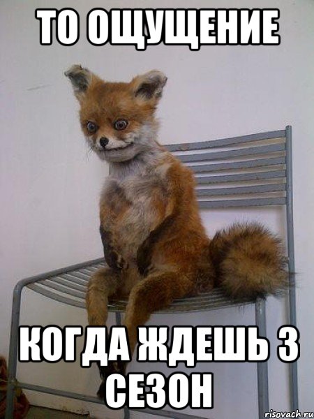 то ощущение когда ждешь 3 сезон, Мем Упоротая лиса