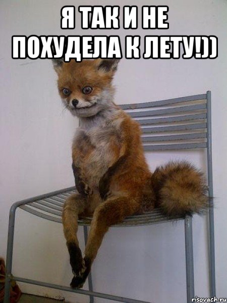 я так и не похудела к лету!)) , Мем Упоротая лиса
