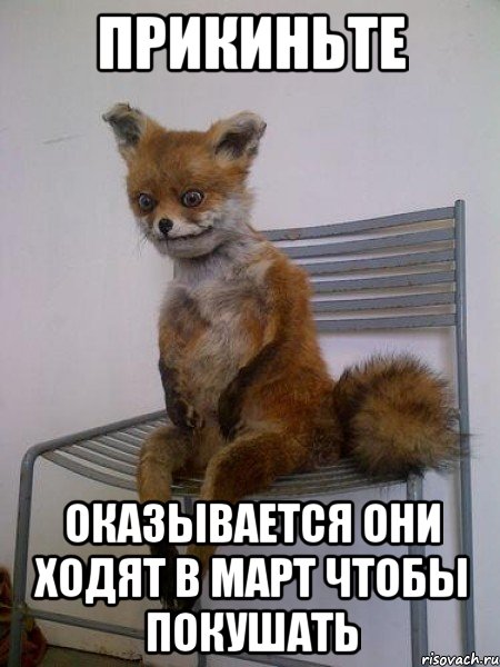 прикиньте оказывается они ходят в март чтобы покушать, Мем Упоротая лиса