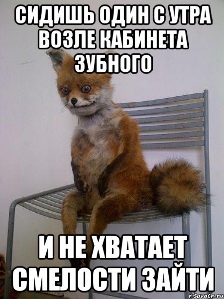 сидишь один с утра возле кабинета зубного и не хватает смелости зайти