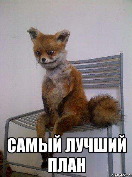  самый лучший план