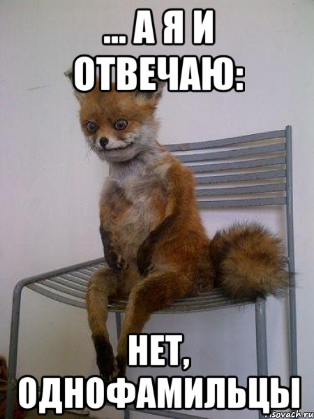 ... а я и отвечаю: нет, однофамильцы
