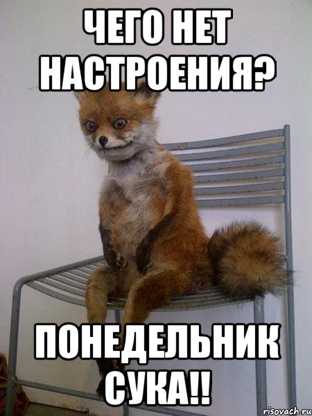 чего нет настроения? понедельник сука!!