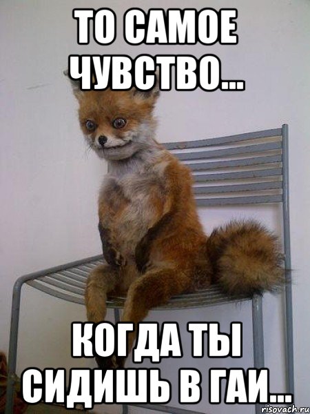 то самое чувство... когда ты сидишь в гаи...