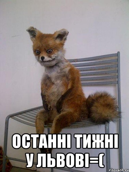  останні тижні у львові=(