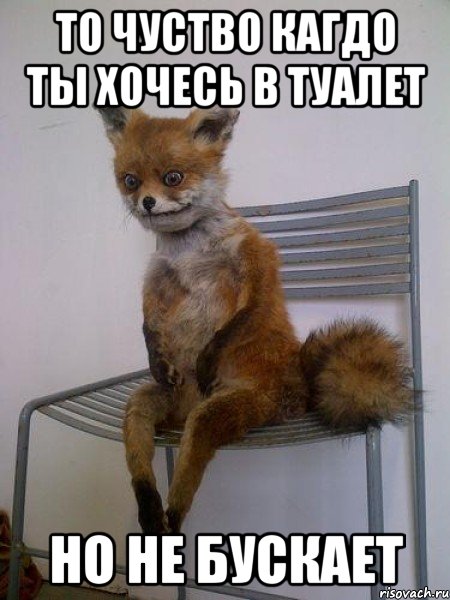то чуство кагдо ты хочесь в туалет но не бускает