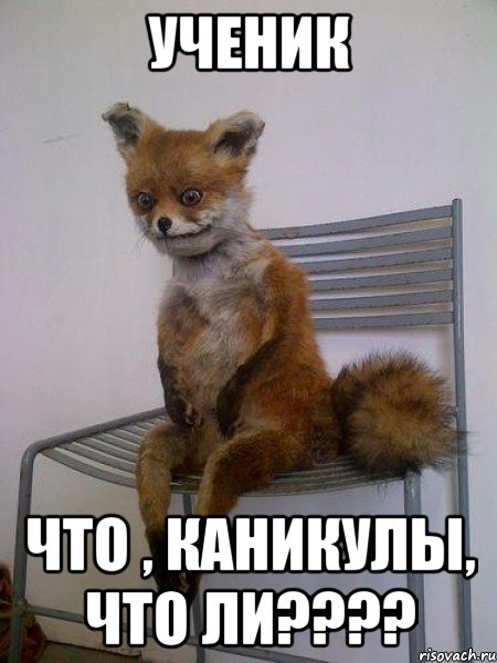 ученик что , каникулы, что ли???