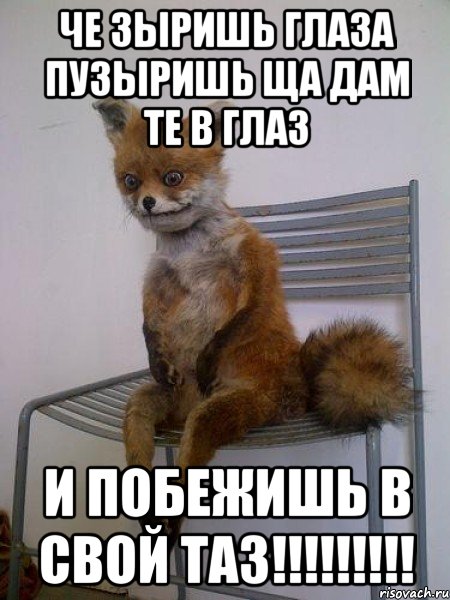 че зыришь глаза пузыришь ща дам те в глаз и побежишь в свой таз!!!