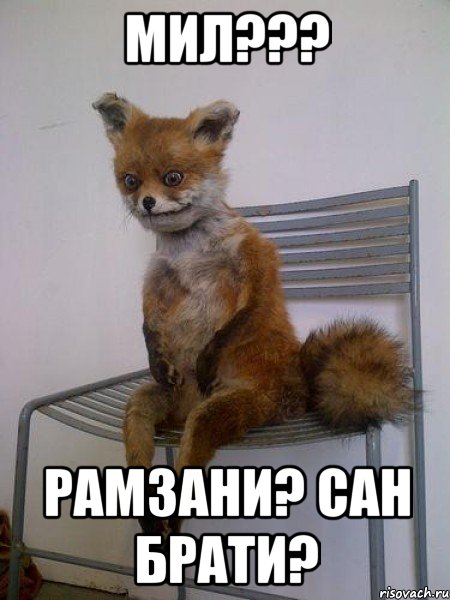 мил??? рамзани? сан брати?