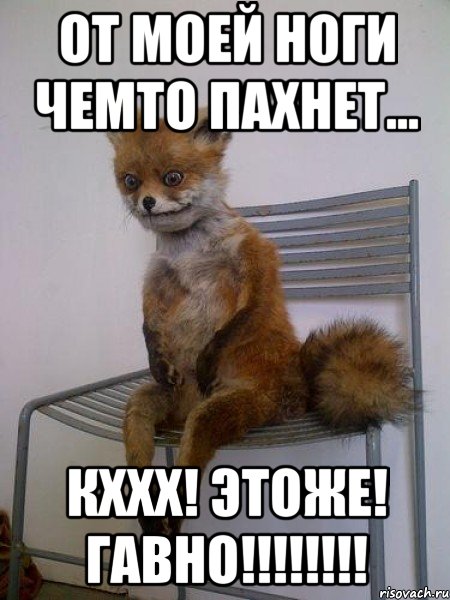 от моей ноги чемто пахнет... кххх! этоже! гавно!!!