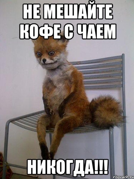 не мешайте кофе с чаем никогда!!!