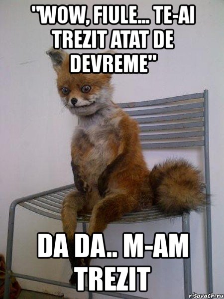 "wow, fiule... te-ai trezit atat de devreme" da da.. m-am trezit