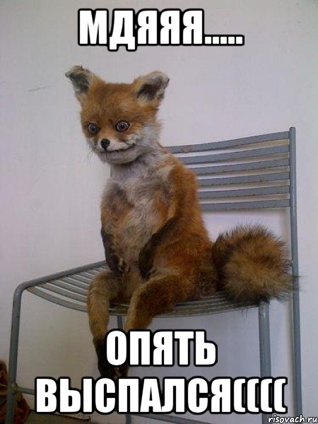мдяяя..... опять выспался((((