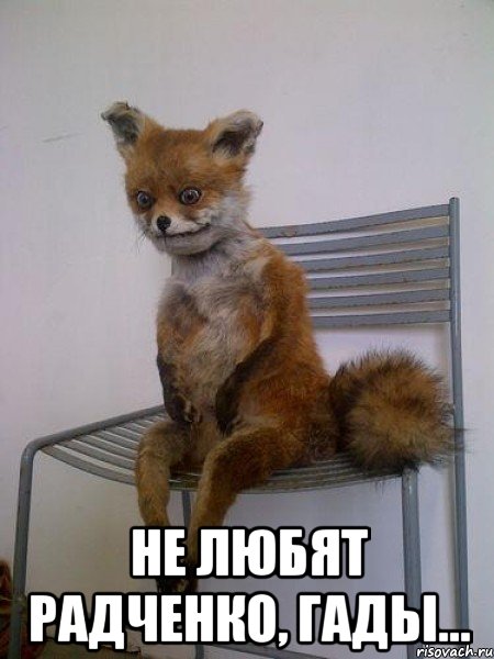  не любят радченко, гады...