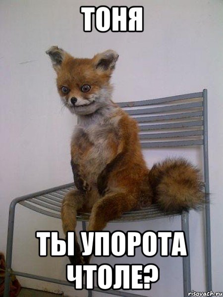 тоня ты упорота чтоле?