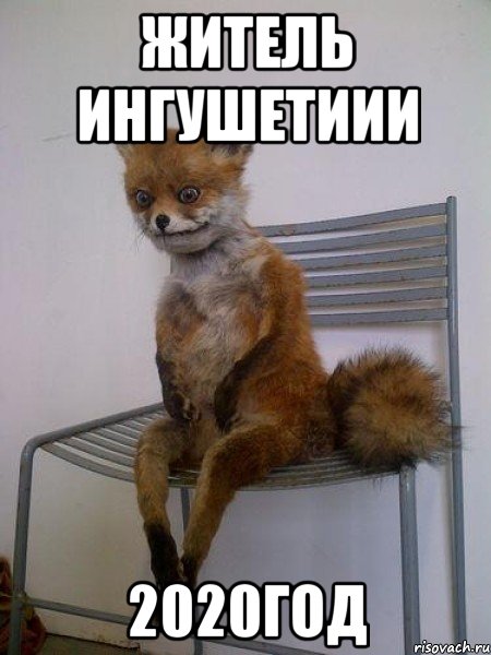 житель ингушетиии 2020год
