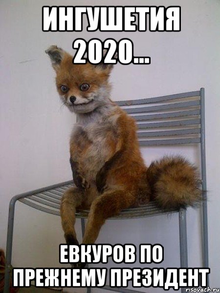 ингушетия 2020... евкуров по прежнему президент