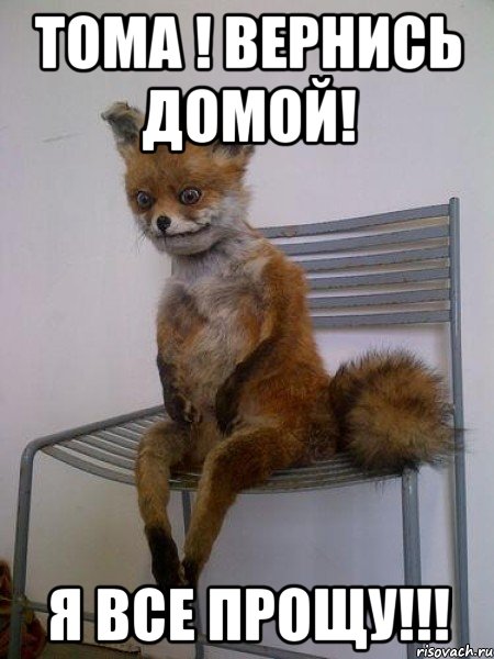 тома ! вернись домой! я все прощу!!!