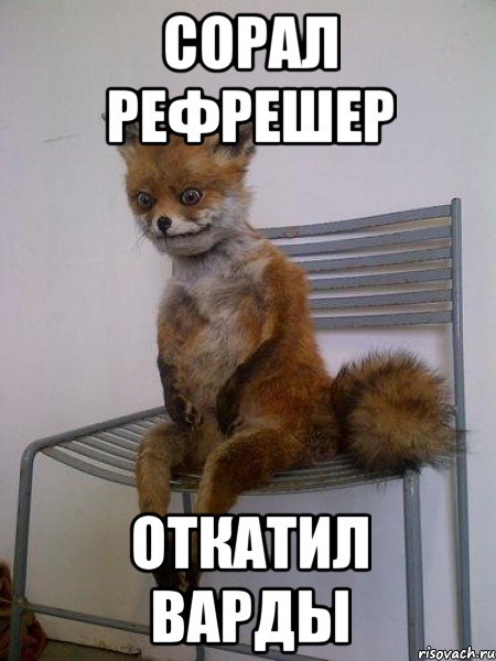 сорал рефрешер откатил варды