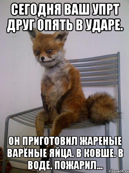 сегодня ваш упрт друг опять в ударе. он приготовил жареные варёные яйца. в ковше. в воде. пожарил...