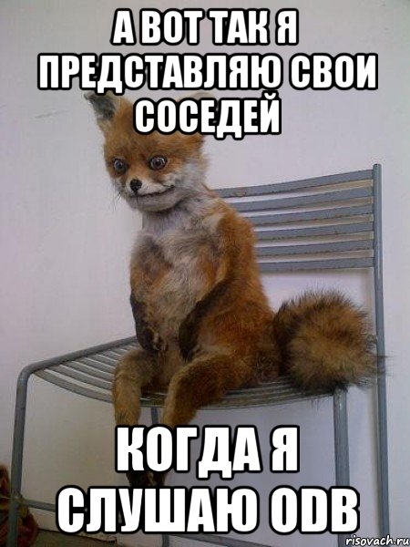 а вот так я представляю свои соседей когда я слушаю odb