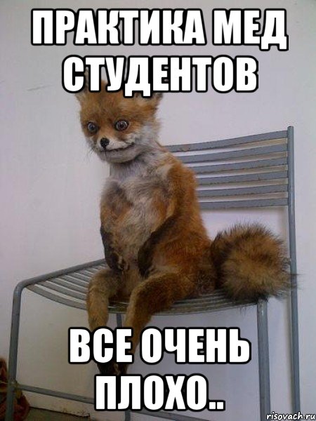 практика мед студентов все очень плохо..