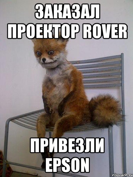 заказал проектор rover привезли epson