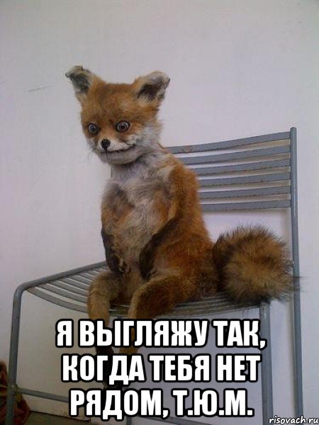  я выгляжу так, когда тебя нет рядом, т.ю.м.
