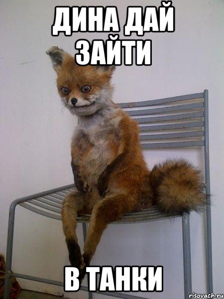 дина дай зайти в танки