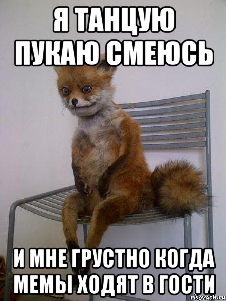 я танцую пукаю смеюсь и мне грустно когда мемы ходят в гости