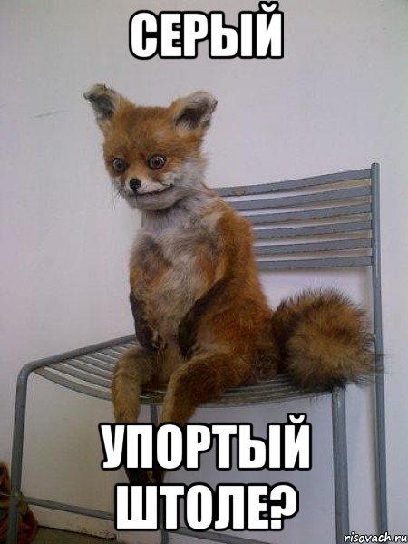 серый упортый штоле?