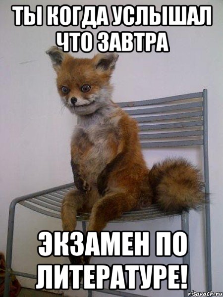 ты когда услышал что завтра экзамен по литературе!