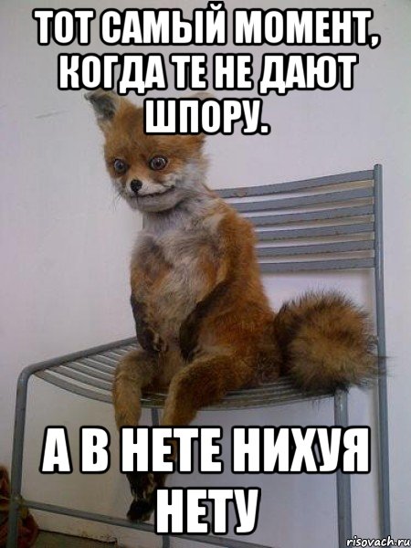 тот самый момент, когда те не дают шпору. а в нете нихуя нету