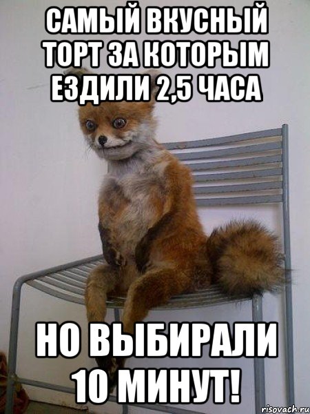 самый вкусный торт за которым ездили 2,5 часа но выбирали 10 минут!
