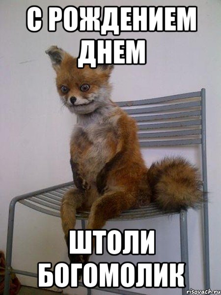 с рождением днем штоли богомолик